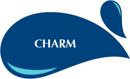Charm