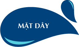 MẶT DÂY