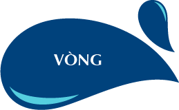 Vòng