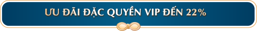 ƯU ĐÃI ĐẶC QUYỀN VIP ĐẾN 22%