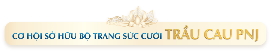 CƠ HỘI SỞ HỮU BỘ TRANG SỨC CƯỚI TRẦU CAU PNJ