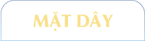 Mặt dây