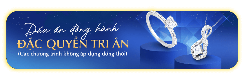 DẤU ẤN ĐỒNG HÀNH - NHÂN ĐÔI ƯU ĐÃI (Các chương trình không áp dụng đồng thời)
