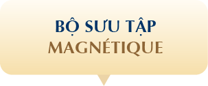 BST MAGNÉTIQUE