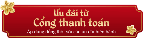 ƯU ĐÃI TỪ CỔNG THANH TOÁN - Áp dụng đồng thời với các ưu đãi hiện hành