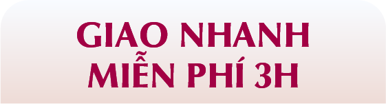 GIAO NHANH MIỄN PHÍ 3H