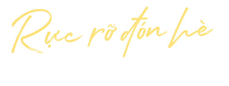 RỰC RỠ ĐÓN HÈ ƯU ĐÃI ĐẾN 50%