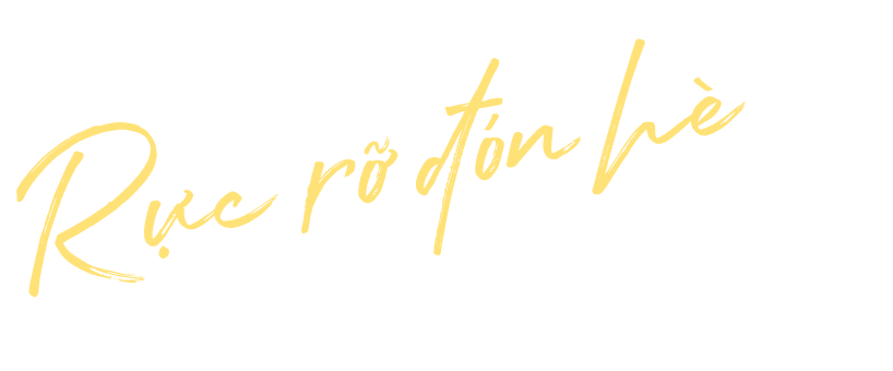 RỰC RỠ ĐÓN HÈ ĐẶC QUYỀN  ƯU ĐÃI (Áp dụng cửa hàng chọn lọc)