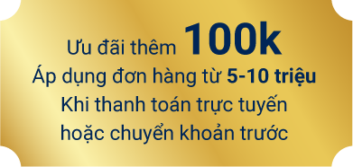 Ưu đãi thêm 100k. Áp dụng đơn hàng từ 5-10 tiệu khi thanh toán trực tuyến