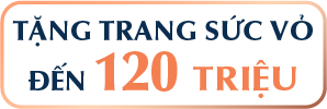 Tặng Trang sức Vỏ đến 120 triệu