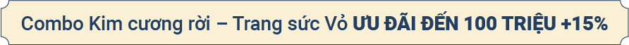 Combo kim cương rời - Trang sức vỏ Ưu đãi đến 100 triệu + 15%