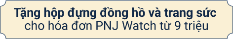 Tặng hộp đựng đồng hỗ và trang sức cho hóa đơn PNJ Watch từ 9 triệu