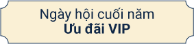 Ngày hội cuối năm Ưu đãi VIP