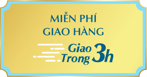 GIAO HÀNG NHANH 3 giờ PNJ3H
