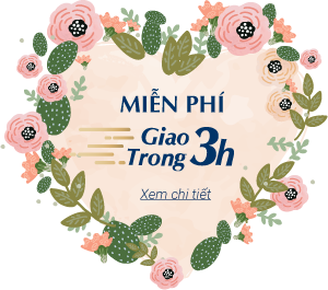 MIỄN PHÍ GIAO TRONG 3H