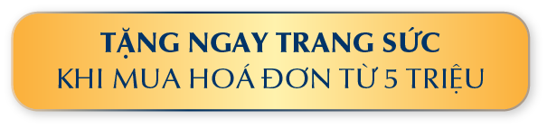 TẶNG NGAY TRANG SỨC KHI MUA HÓA ĐƠN TỪ 5 TRIỆU