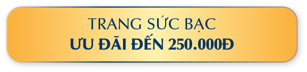 TRANG SỨC BẠC ƯU ĐÃI ĐẾN 250.000Đ