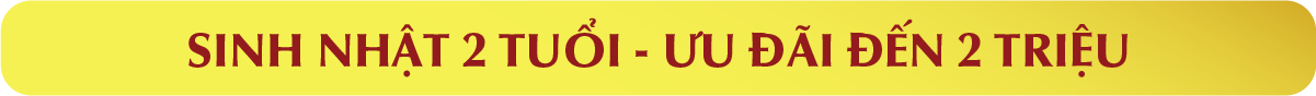 SINH NHẬT 2 TUỔI ƯU ĐÃI ĐẾN 2 TRIỆU