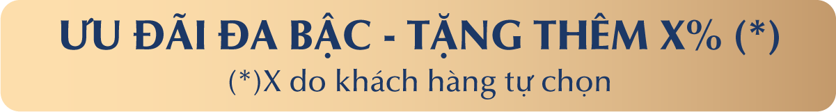 ƯU ĐÃI ĐA BẬC - TẶNG THÊM X% (*) (*)X do khách hàng tự chọn