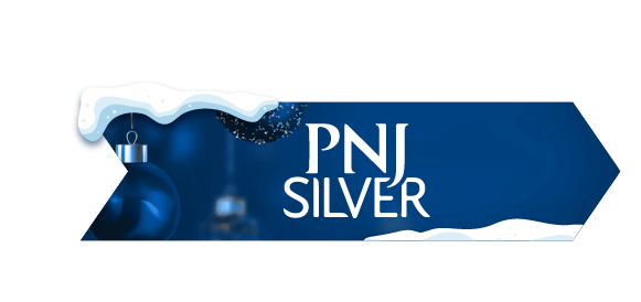 TRANG SỨC PNJSilver
