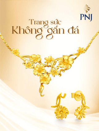 TS Không gắn đá