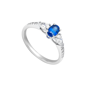 Nhẫn Vàng 18K Đính đá Sapphire PNJ SPDDW060040